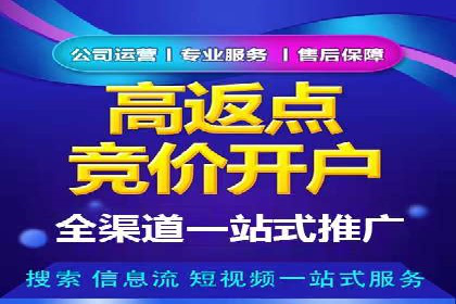 竞价SEM案例解析：电商行业营销策略